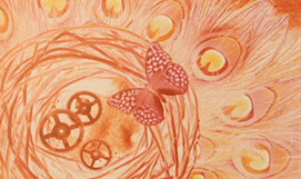 Kaleidoscope of Butterflies