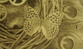 Kaleidoscope of Butterflies II